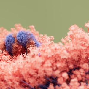 Blooming Dimensions icon